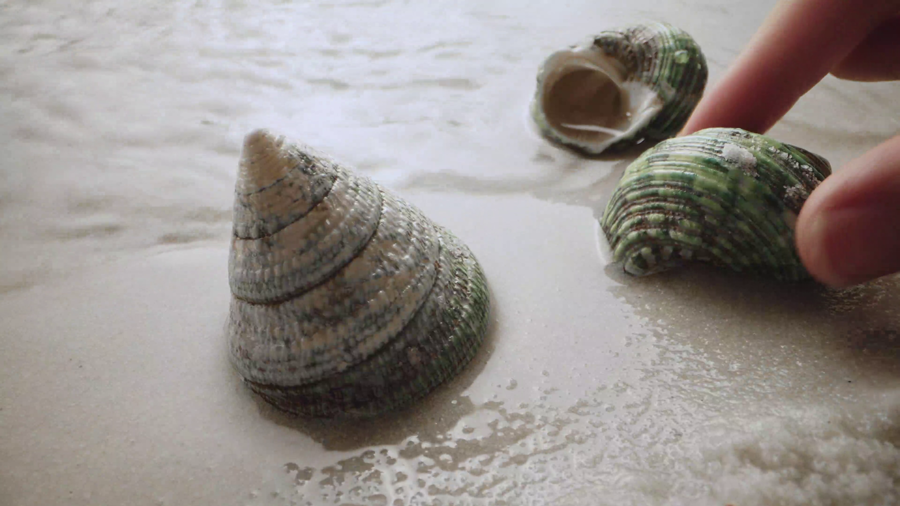 3d232c1d-c167-4e49-9416-a2586d3028af CEO Tôn Nữ Xuân Quyên: Những chiếc bút mang hoài bão con người - Ảnh 3