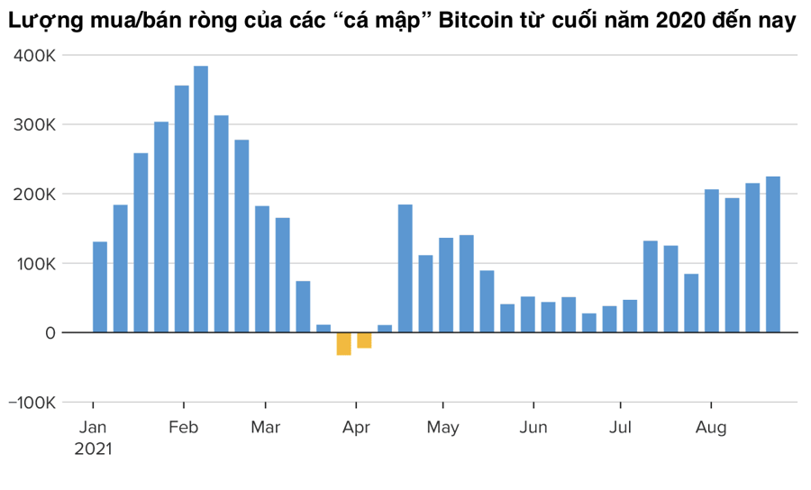 “Cá mập” Bitcoin âm thầm gom mua khi giá lên 50.000 USD - Ảnh 1