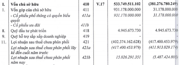 Hơn 93 triệu cổ phiếu của công ty BĐS liên quan Tân Hoàng Minh sẽ chào sàn UPCoM với giá tham chiếu 5.700 đồng - Ảnh 3.