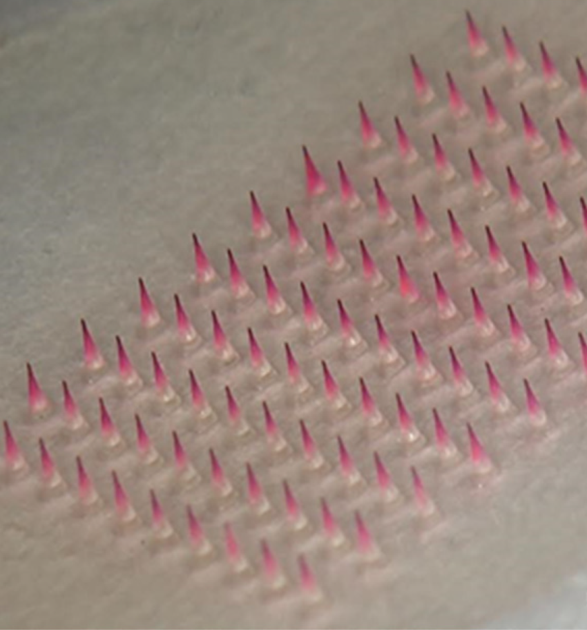 a1 Miếng dán vaccine Covid-19 hứa hẹn thay thế phương pháp tiêm thông thường - Ảnh 2