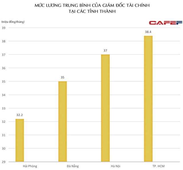 Khác biệt lương CFO tại doanh nghiệp Việt Nam ra sao? - Ảnh 4.