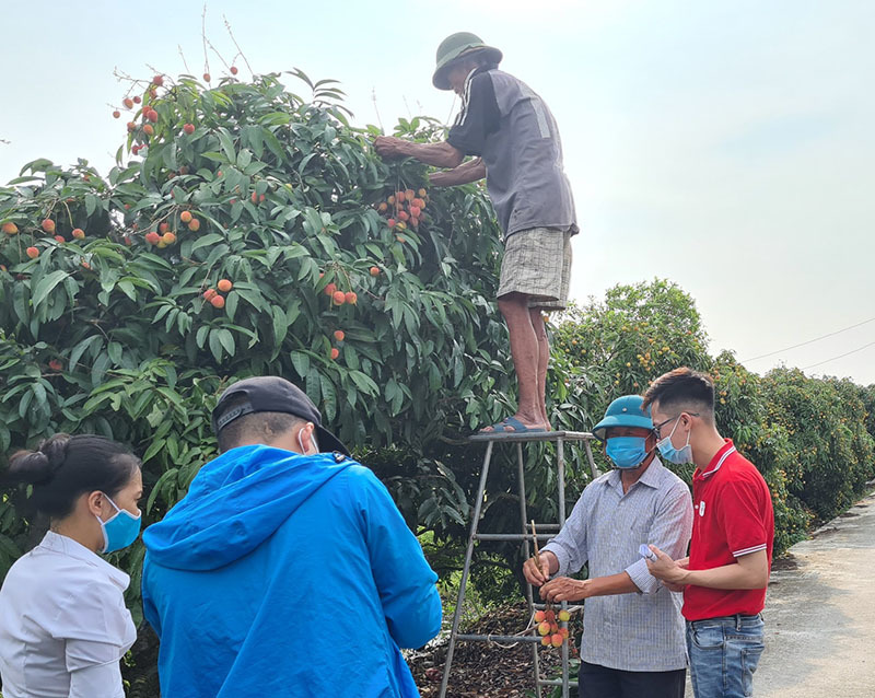 Từ ngôi làng nhỏ Việt Nam thành tay bán buôn xuyên biên giới